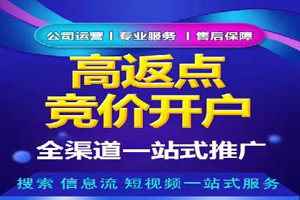 竞价排名案例分析：电商行业